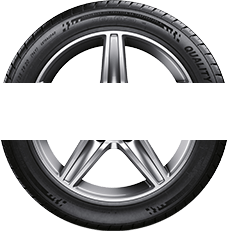 Shop For Tires